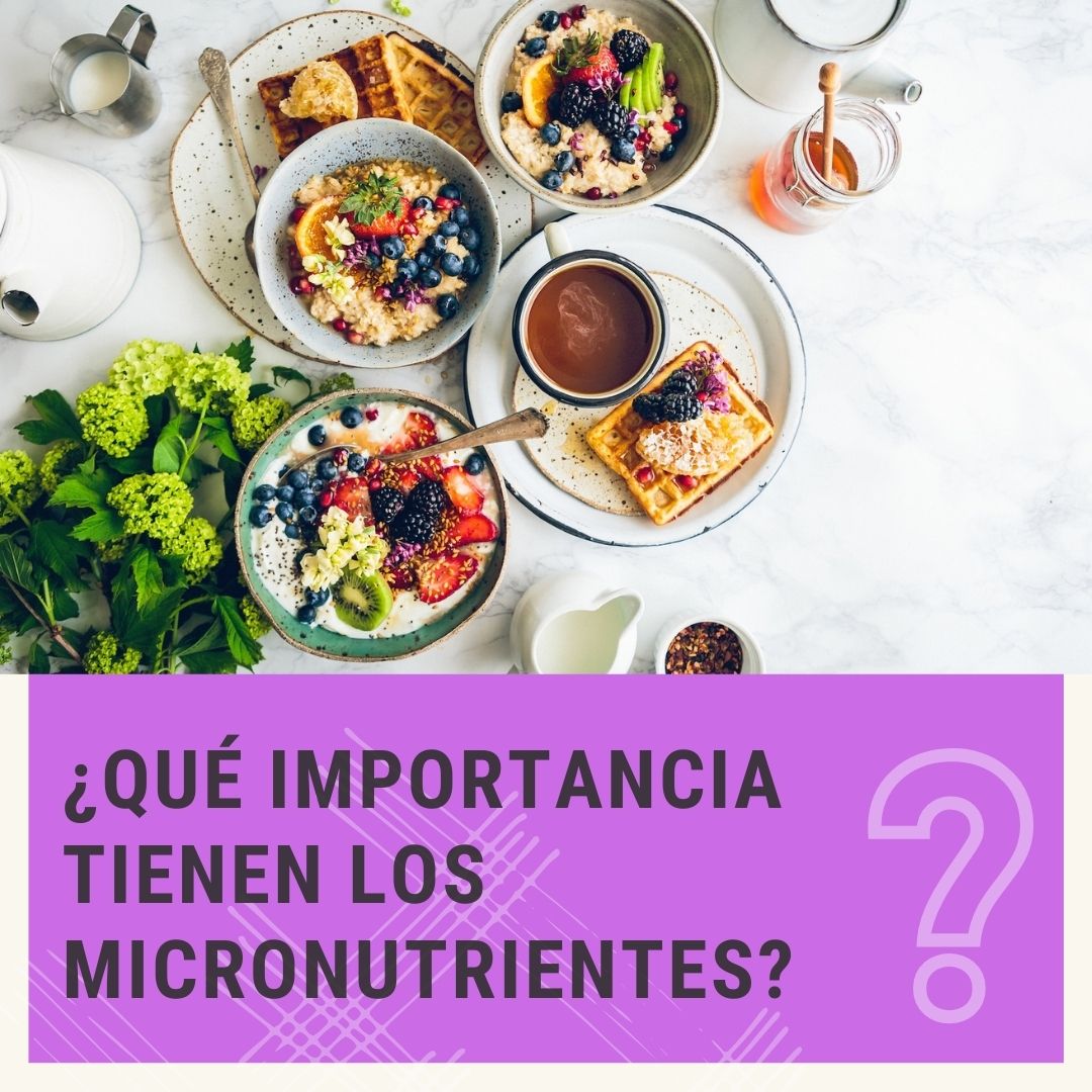 Importancia De Los Micronutrientes Gonzalo Rubio 2616