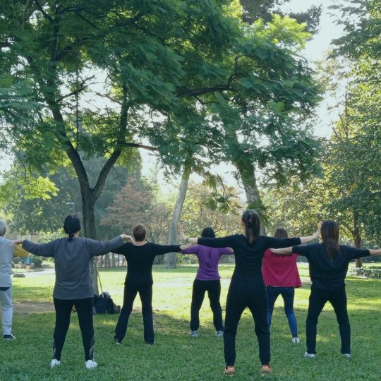 Practicantes de Chikung realizando movimientos suaves en un parque, integrando la naturaleza en su práctica.